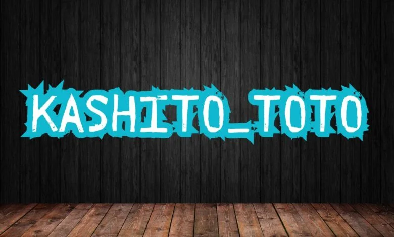 Why Kashito_Toto is Revolutionizing the Industry: Insights and Innovations